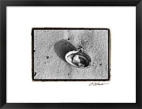 Framed Sand Treasures VI Print