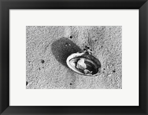 Framed Sand Treasures VI Print