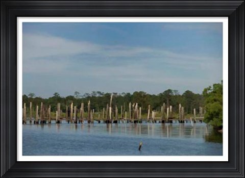 Framed Safe Harbor VI Print