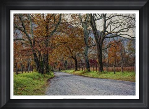 Framed Morning on Sparks Lane I Print