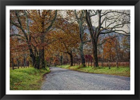 Framed Morning on Sparks Lane I Print