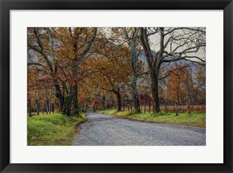 Framed Morning on Sparks Lane I Print