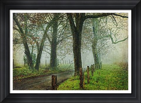 Framed Morning on Sparks Lane IV Print