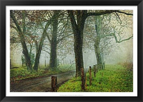 Framed Morning on Sparks Lane IV Print