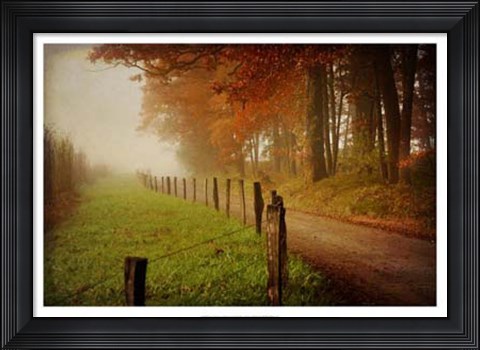 Framed Foggy Morning on Hyatt Lane Print