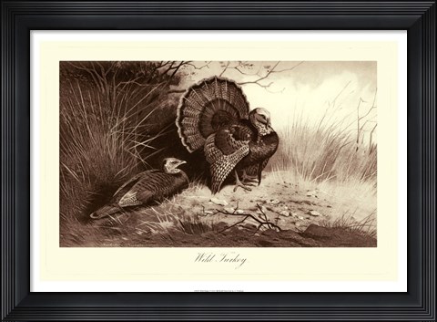 Framed Wild Turkey Print