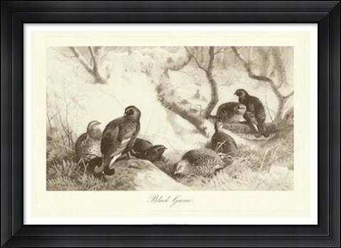 Framed Black Game Print