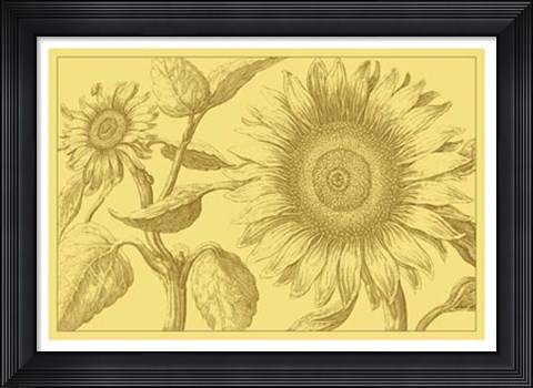 Framed Golden Sunflowers I Print