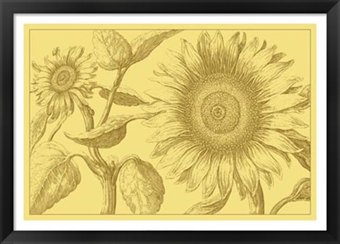 Framed Golden Sunflowers I Print