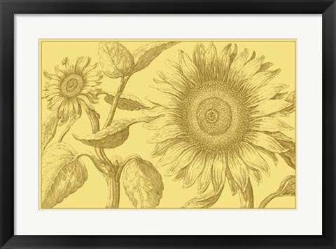 Framed Golden Sunflowers I Print