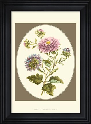 Framed Antique Bouquet II Print