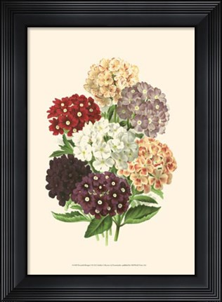 Framed Bountiful Bouquet I Print