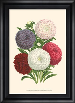 Framed Bountiful Bouquet II Print