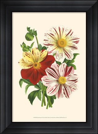 Framed Bountiful Bouquet III Print