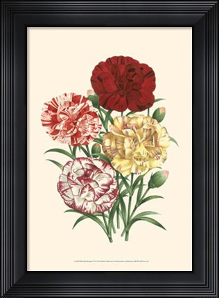 Framed Bountiful Bouquet IV Print