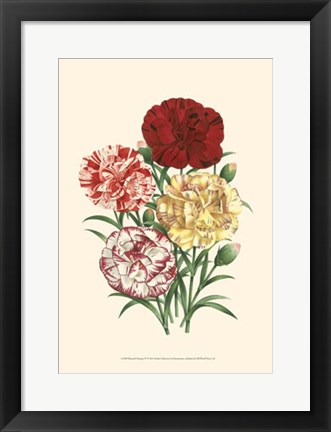 Framed Bountiful Bouquet IV Print