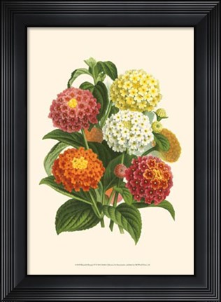 Framed Bountiful Bouquet VI Print