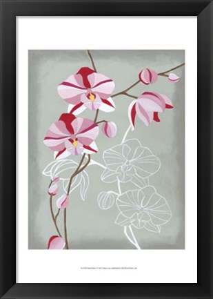 Framed Floral Echo I Print