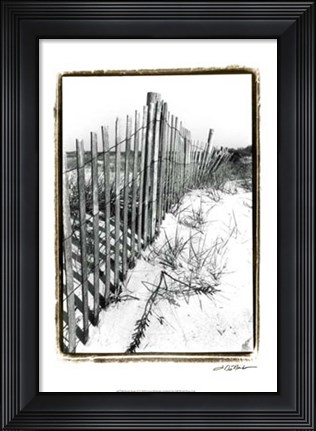 Framed Beach Scape II Print