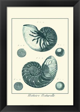 Framed Shells in Aqua I Print