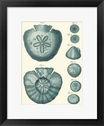 Framed Shells in Aqua III Print