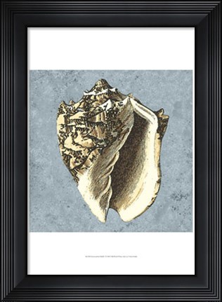 Framed Stonewashed Shells I Print