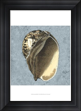Framed Stonewashed Shells II Print