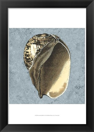 Framed Stonewashed Shells II Print