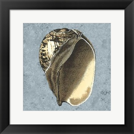 Framed Stonewashed Shells II Print