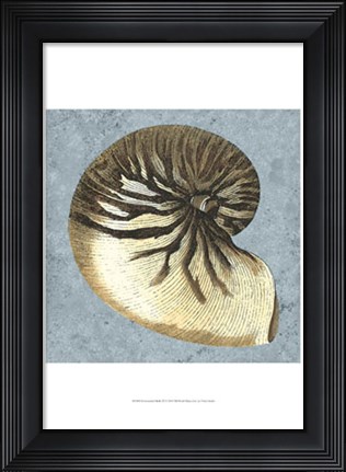 Framed Stonewashed Shells III Print
