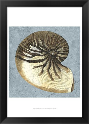 Framed Stonewashed Shells III Print