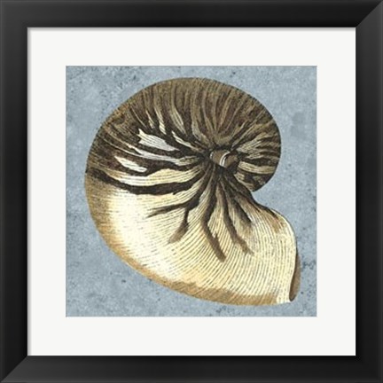 Framed Stonewashed Shells III Print