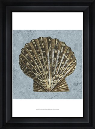 Framed Stonewashed Shells IV Print