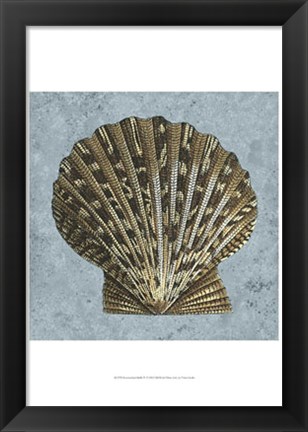 Framed Stonewashed Shells IV Print