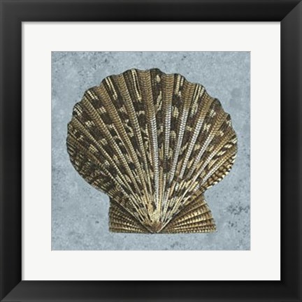 Framed Stonewashed Shells IV Print