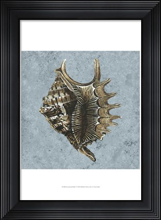 Framed Stonewashed Shells V Print