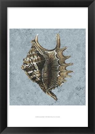 Framed Stonewashed Shells V Print