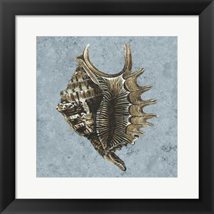 Framed Stonewashed Shells V Print