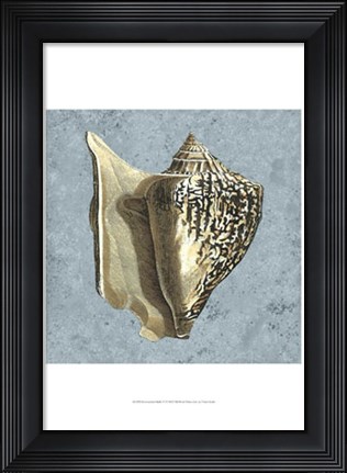 Framed Stonewashed Shells VI Print