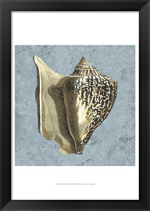 Framed Stonewashed Shells VI Print