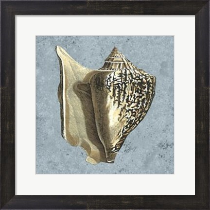 Framed Stonewashed Shells VI Print