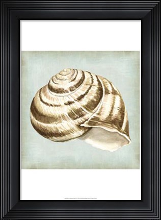 Framed Sea Dream Shells I Print