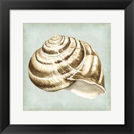 Framed Sea Dream Shells I Print