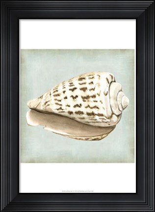 Framed Sea Dream Shells II Print