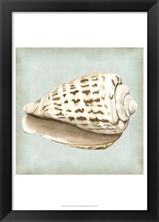 Framed Sea Dream Shells II Print