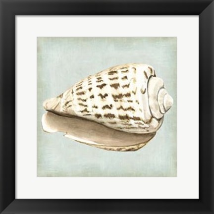 Framed Sea Dream Shells II Print