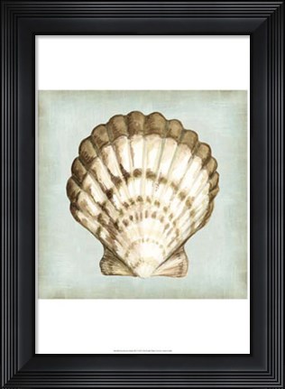 Framed Sea Dream Shells III Print