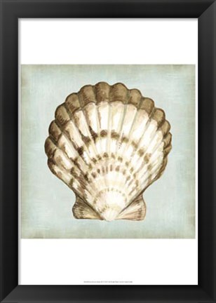 Framed Sea Dream Shells III Print