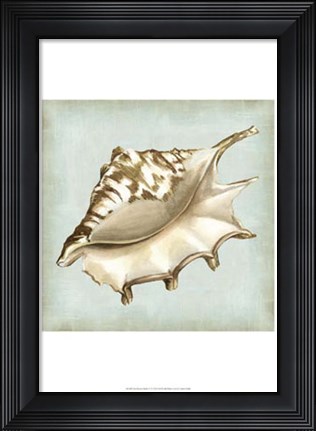 Framed Sea Dream Shells IV Print