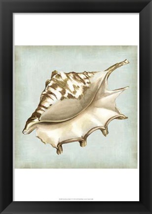 Framed Sea Dream Shells IV Print